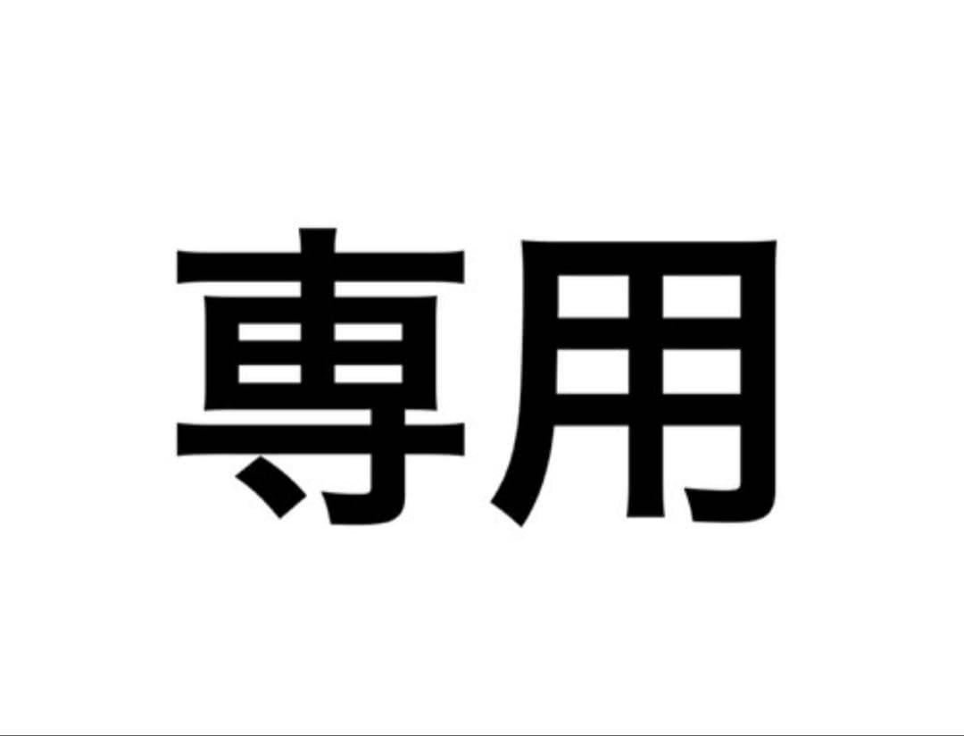 Lサイズパイプビーズ一連アポロビーズ2個ネックレス