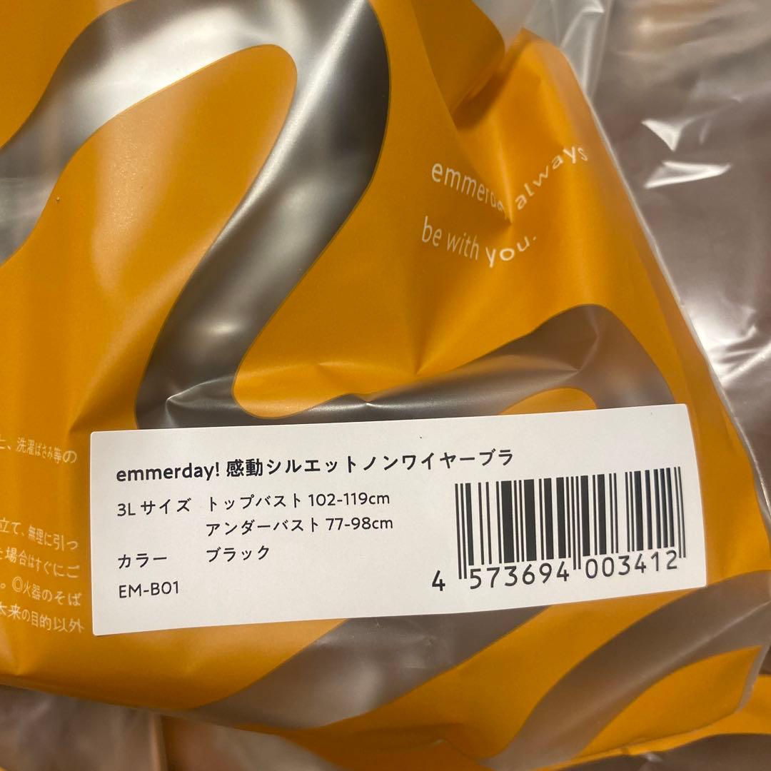 ak emmerday3L ブラジャーショーツセット 5セット