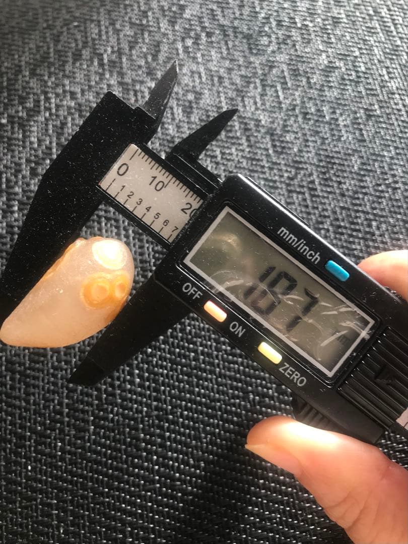 ゴビ石−1405 ゴビ瑪瑙　花眼　原石　金眼