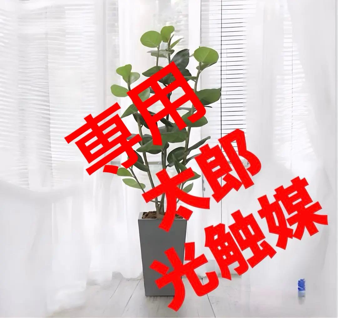光触媒　人工観葉植物　ウォールグリーン　アーバンシーグレープ1.35