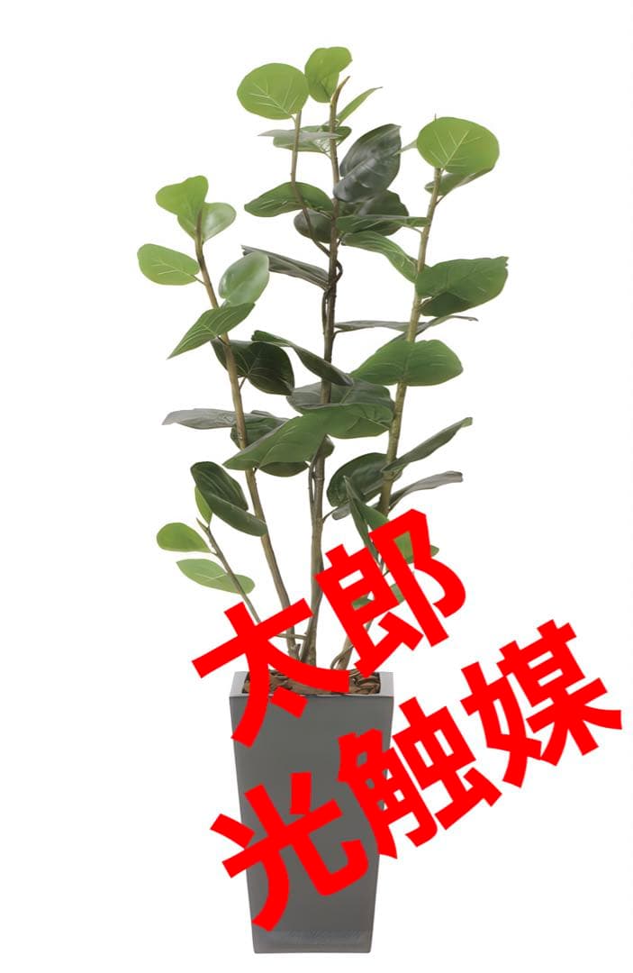 光触媒　人工観葉植物　ウォールグリーン　アーバンシーグレープ1.35