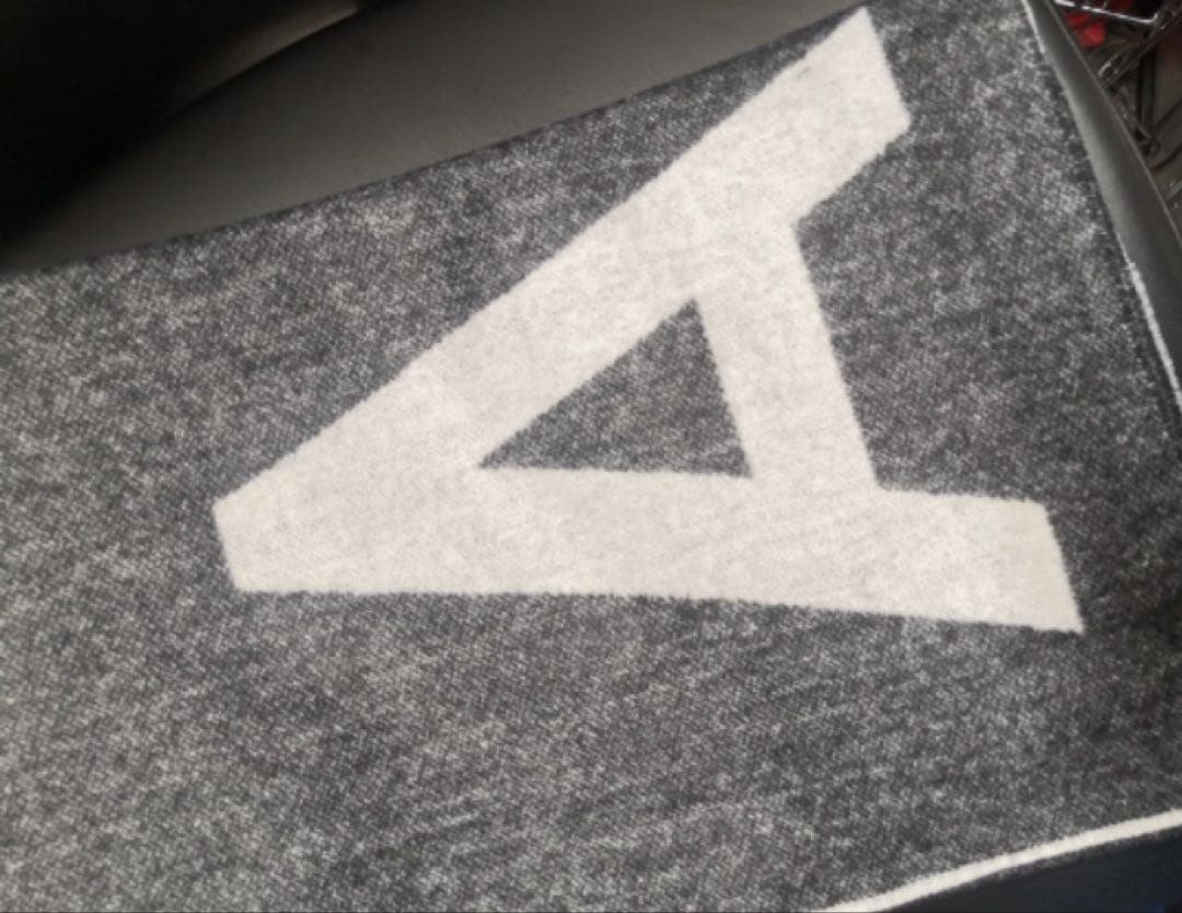 新品 アクネ ストゥディオズ Acne Studios ロゴ マフラー・ストール