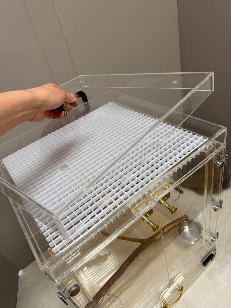 鳥カゴ　中型アクリル鳥用ケージ(エサカップ4つ、エサ付)