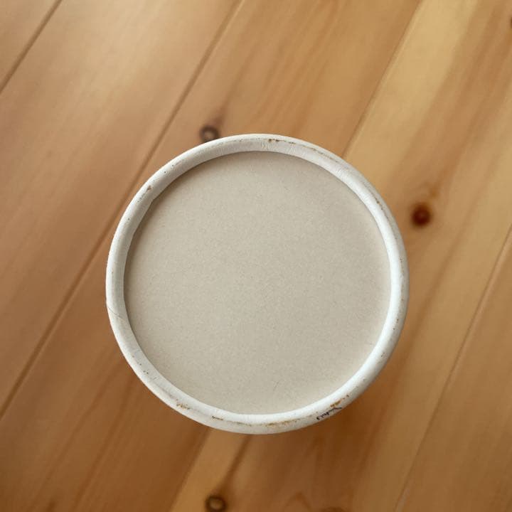 【限定品】東京ディズニーランド　15周年記念　コカ・コーラボトル