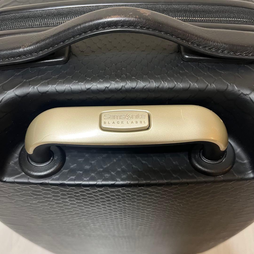 Samsonite BLACK LABEL キャリーケース　パイソン柄
