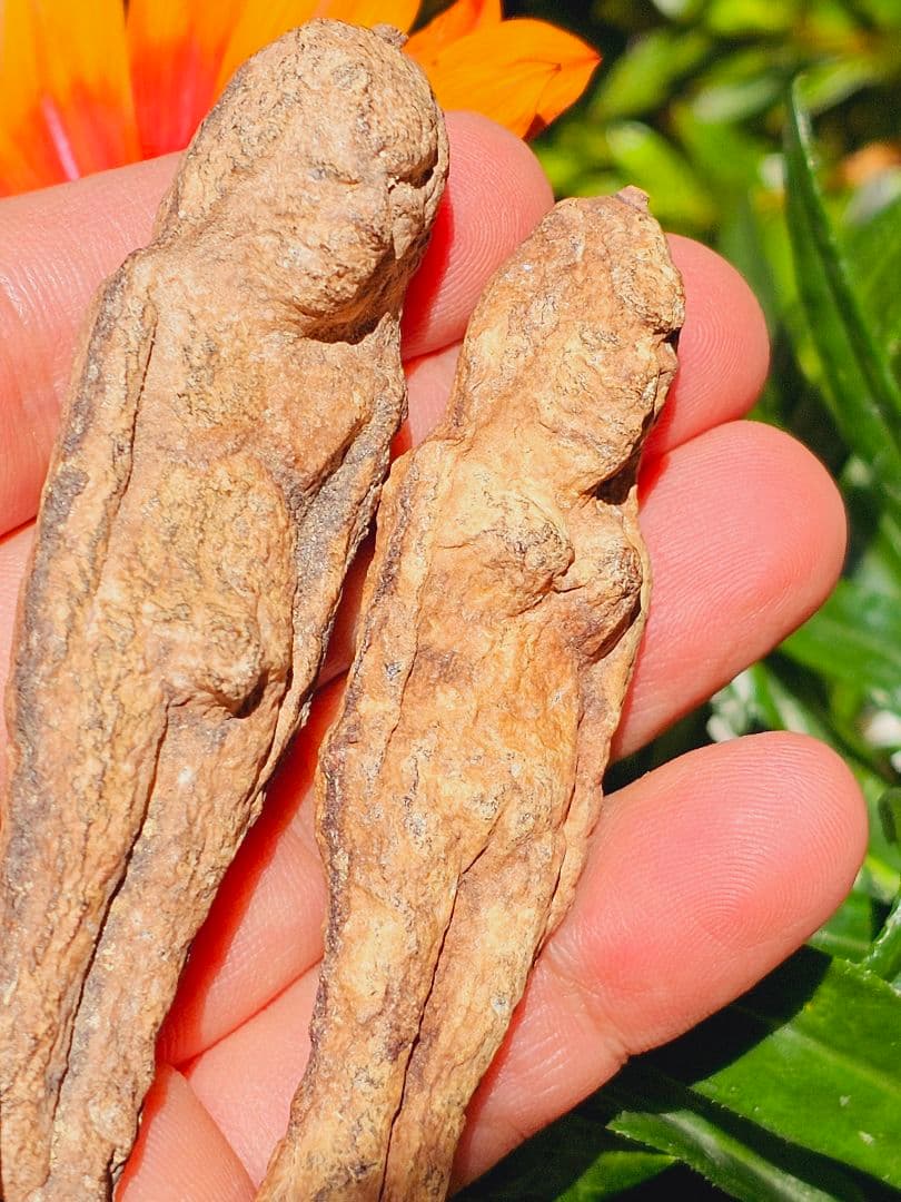 特級呪物✡️ナリーポンとマカリーポンのセット