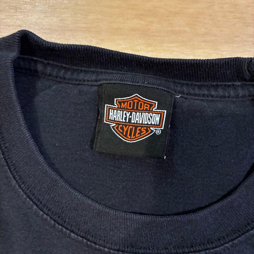 Harley-Davidson フレイム ファイヤーパターン ロンT 袖プリ