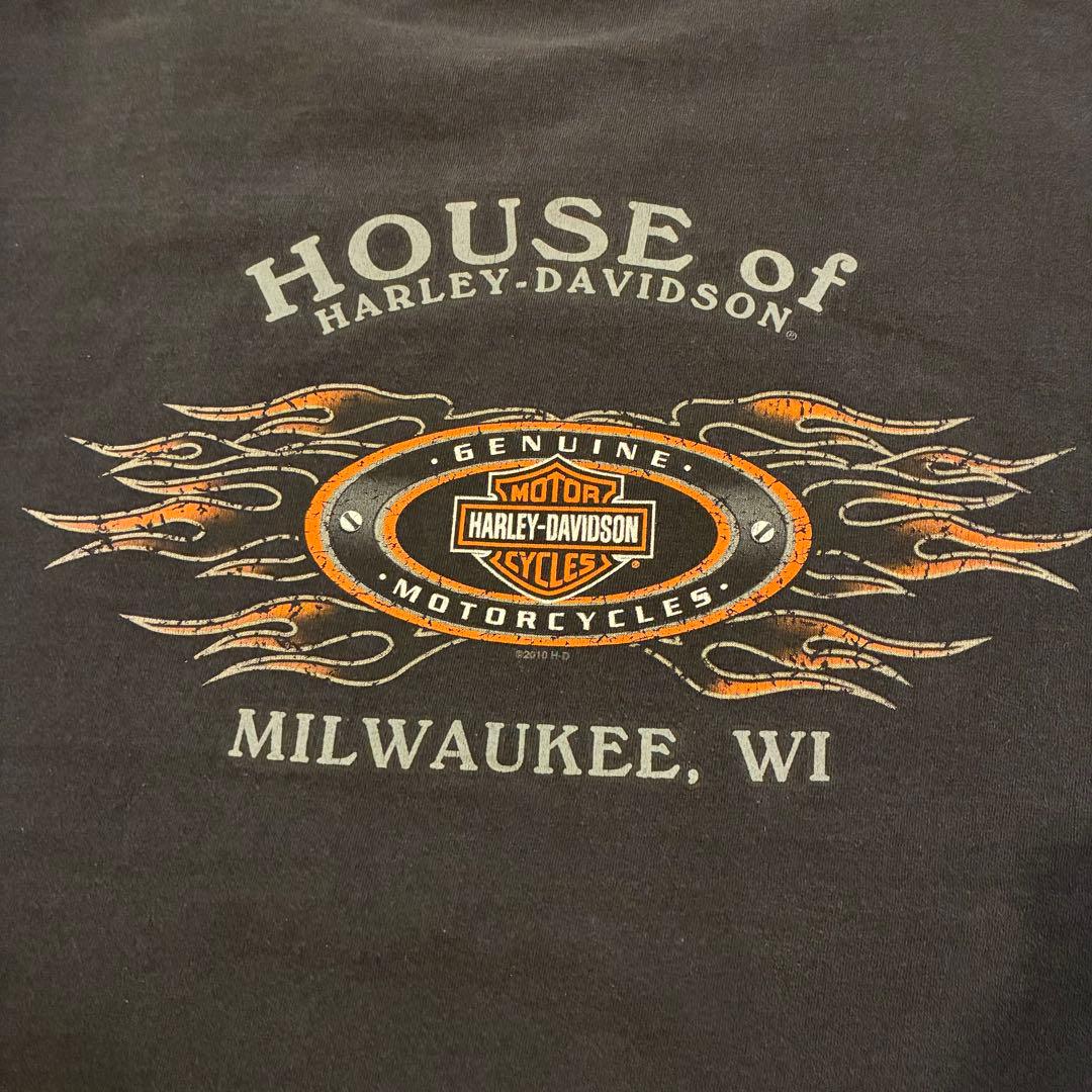 Harley-Davidson フレイム ファイヤーパターン ロンT 袖プリ