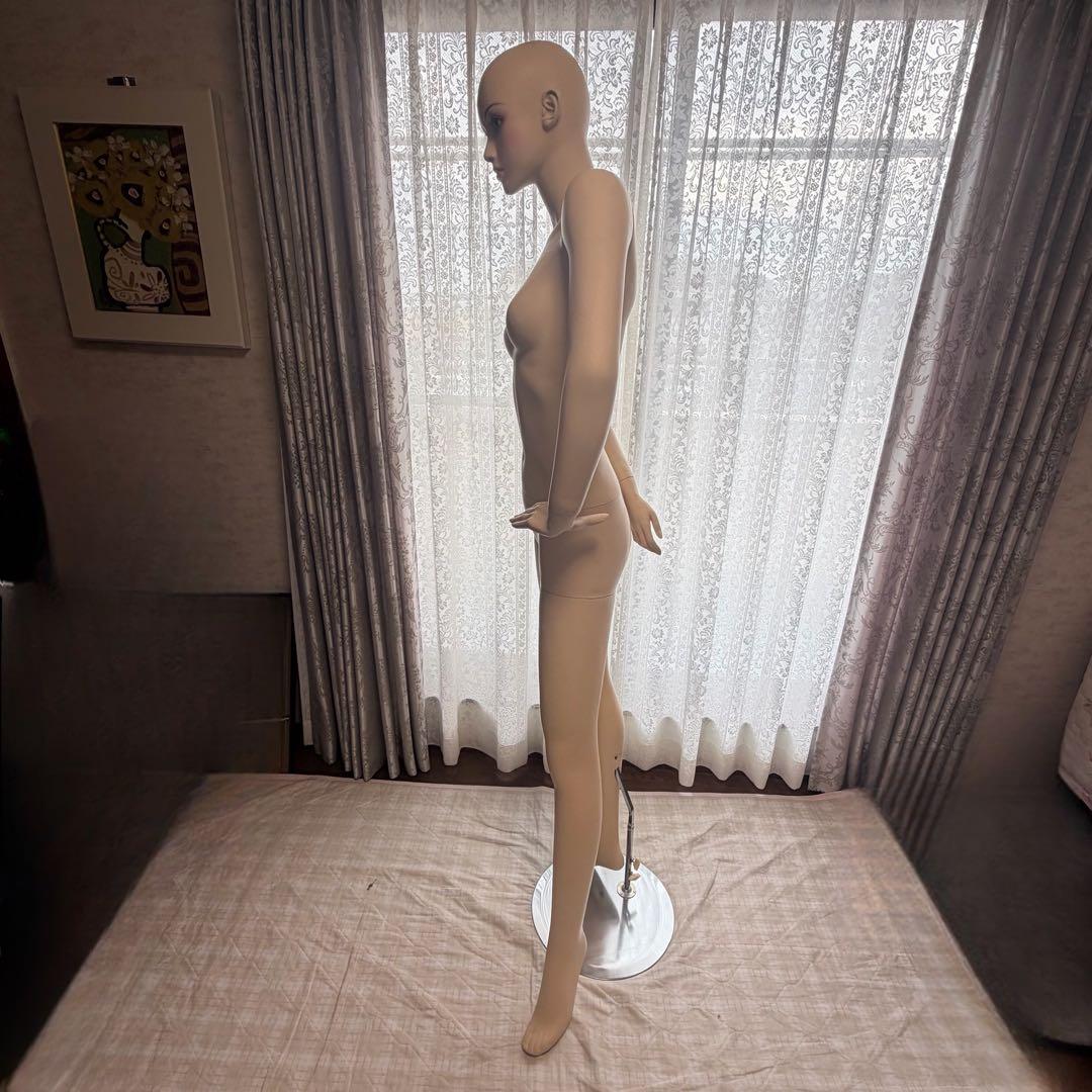 未使用 マネキン トルソー FTX-1-J KUGIMACHI 化粧済み