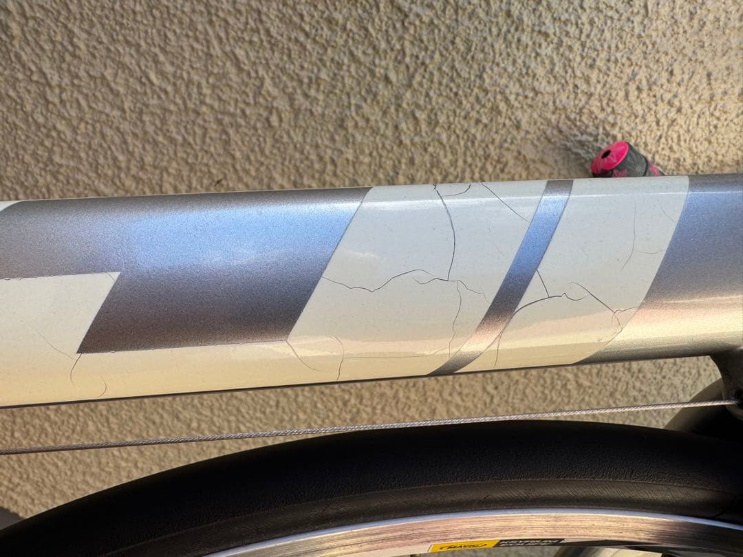 フジ　バラクーダ