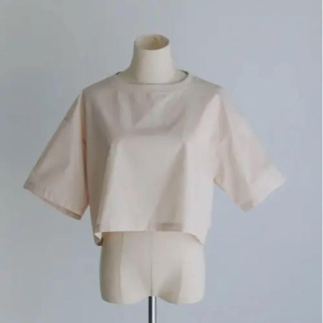 pois blouse tee ブラウスティー　ピンク