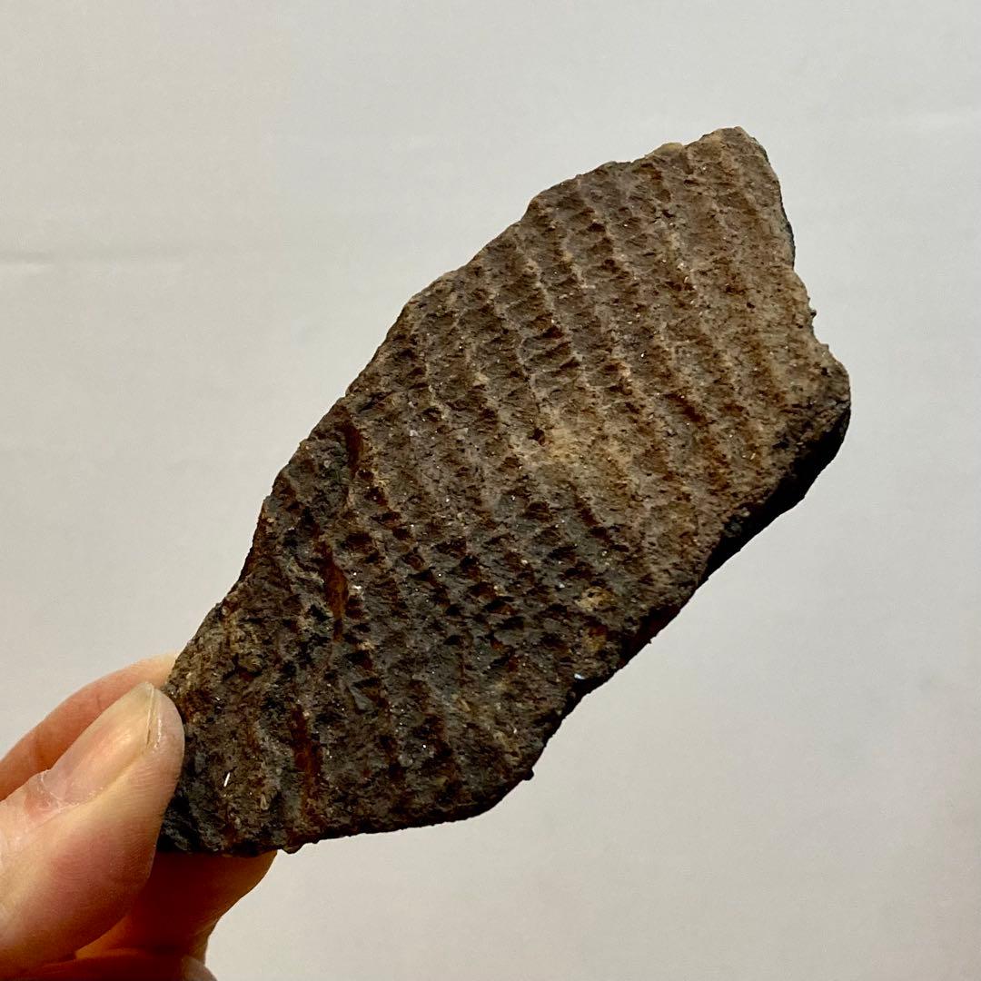 縄文土器の陶片 6点セット　4000〜5500年前