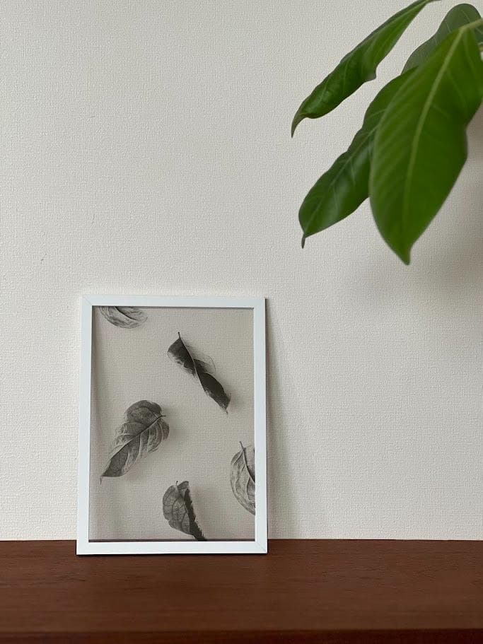 ペーパーコレクティブFloating Leaves 02 ＆ムーベフレームセット