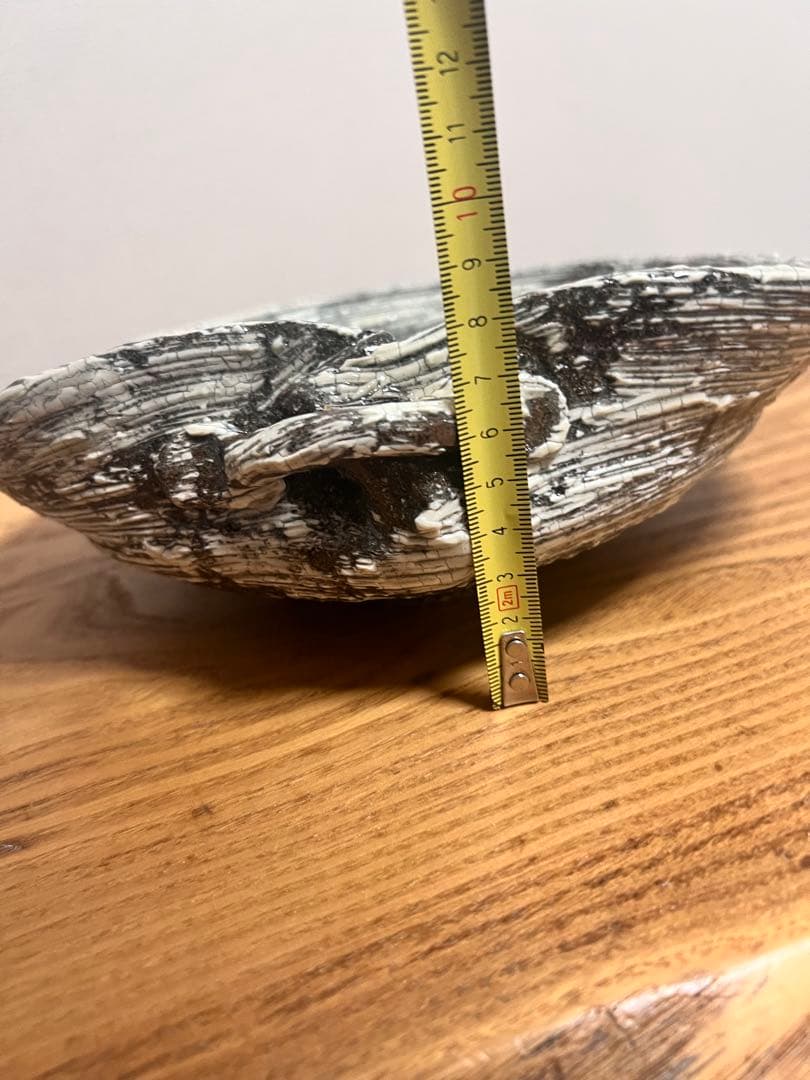 中川自然坊　刷毛目唐津　蛤鉢　入手困難品　美品　8寸鉢