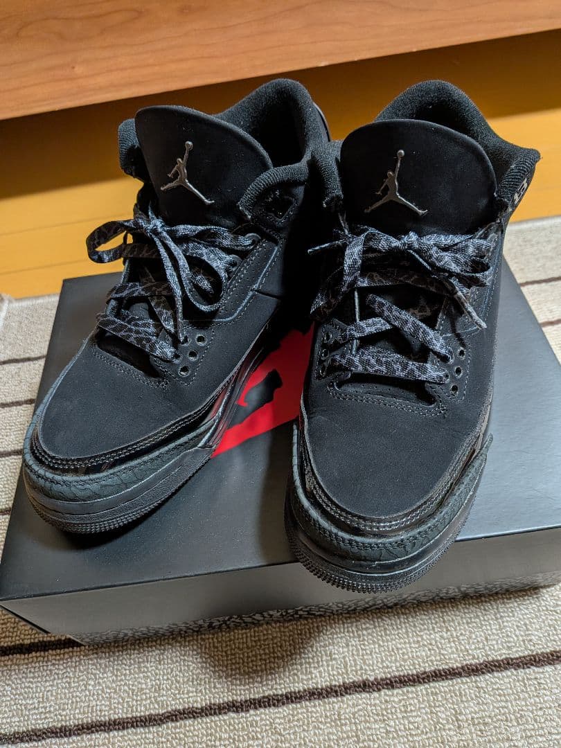 NIKE AIR JORDAN 3 RETRO 24.5cm ジョーダン