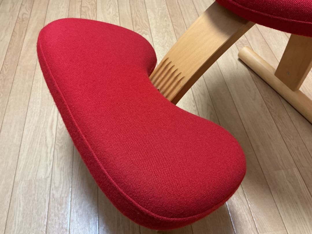 バランスチェア イージー　リボ社製