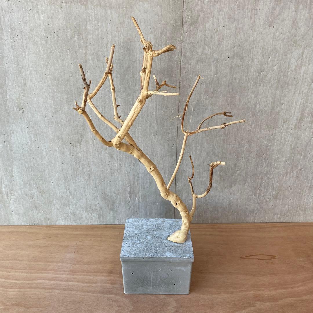 【コンクリート盆栽 流木オブジェ】 アート アクセサリー インテリア 爬虫類