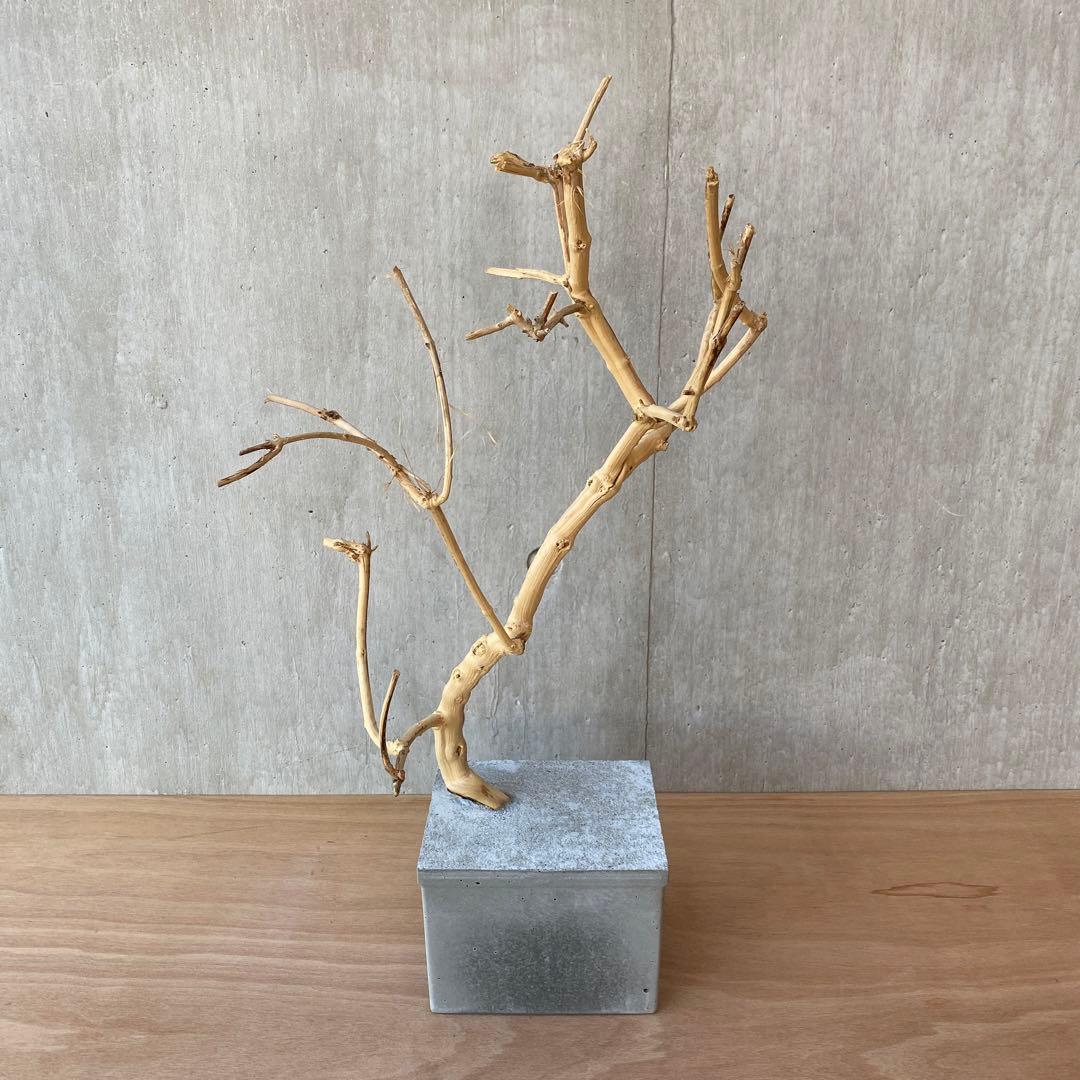 【コンクリート盆栽 流木オブジェ】 アート アクセサリー インテリア 爬虫類