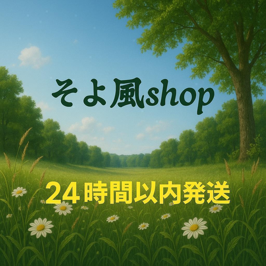 【新品未使用】BaByliss Pro FX870GBP バリカン プロ仕様