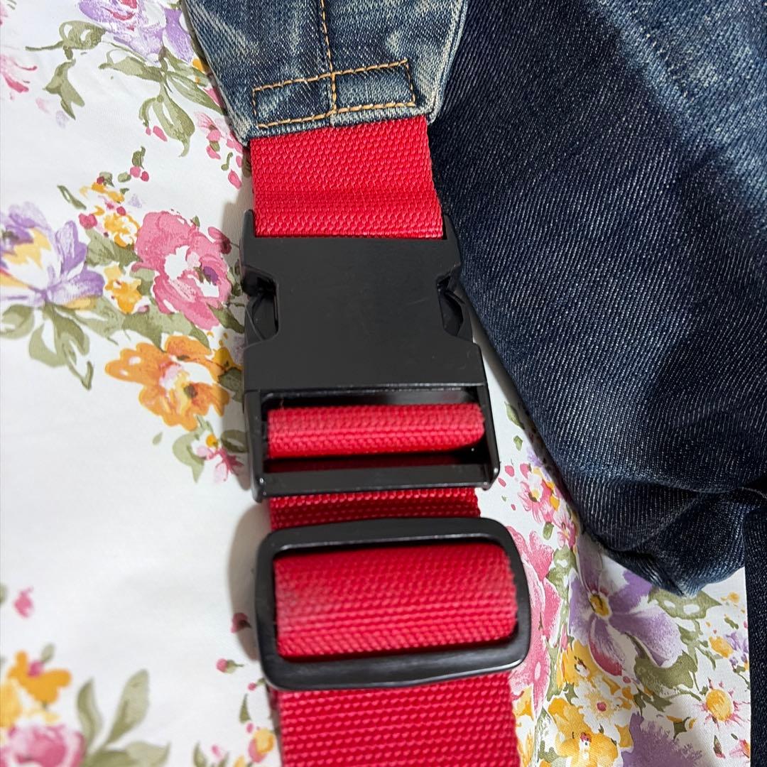 C*9様 EVISU ボディバック　希少エビスヤ赤タブ　かもめ　5ポケット　エヴ