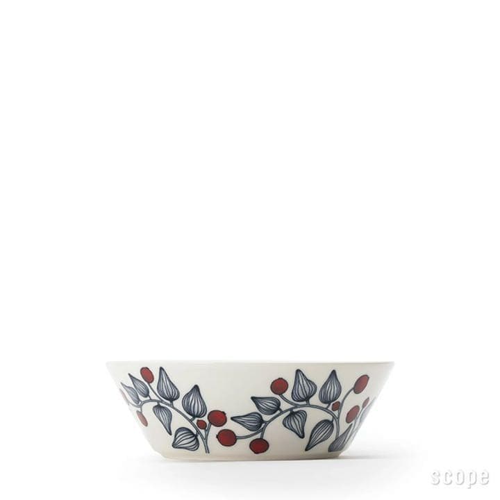 【新品　2枚】アラビア　ルノ フロストベリー　17cm　ボウル　記念ロゴ