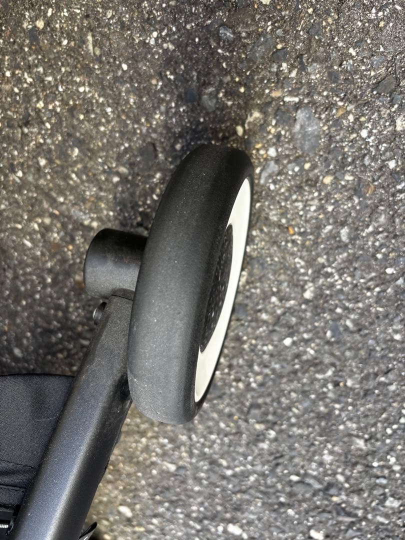 サイベックスリベル　2024キャンバスホワイト（キャンセルにより再掲載）