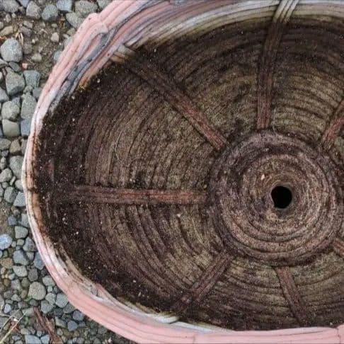 綱木紋 ハイジ 植木鉢 鉢 ハンギング ガーデニング 花壇 欧州 ヨーロピアン