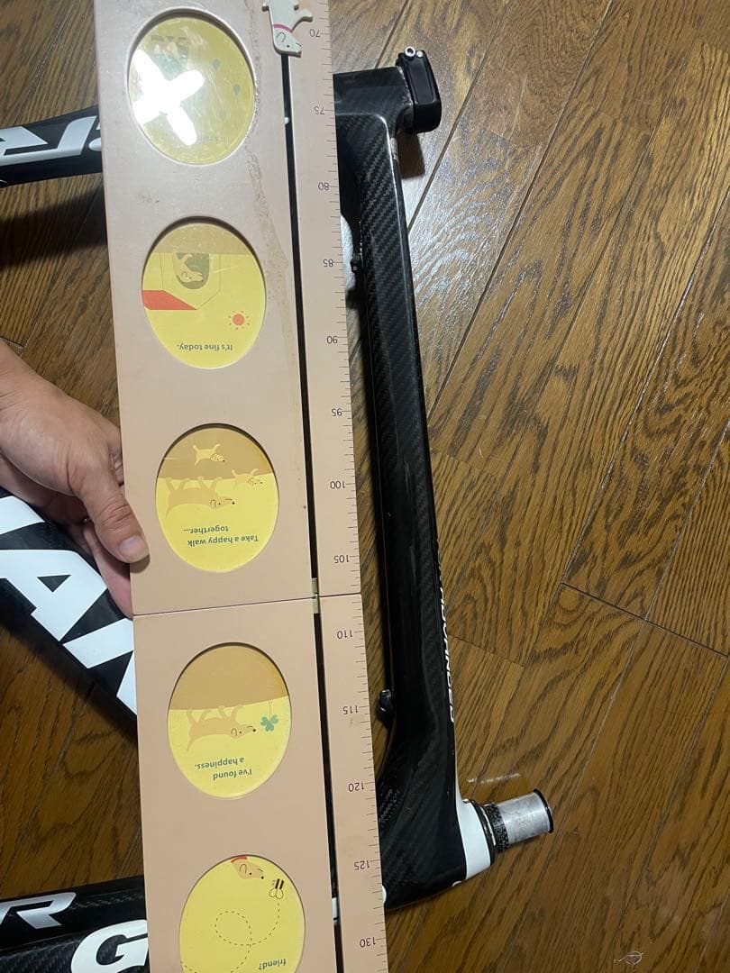 な*な様 GIANT TCR カーボンフレーム