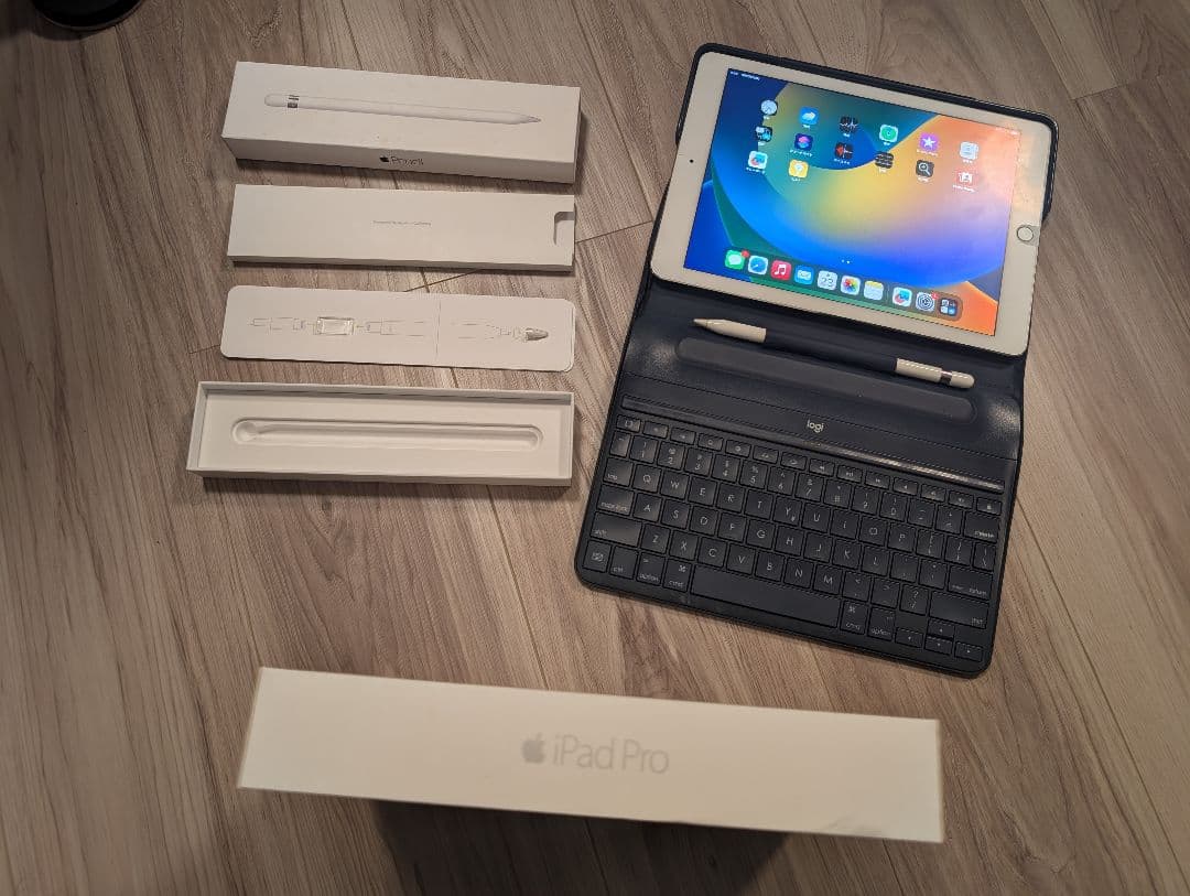 む*り様 iPad Pro 9.7 128GB Cellularモデル