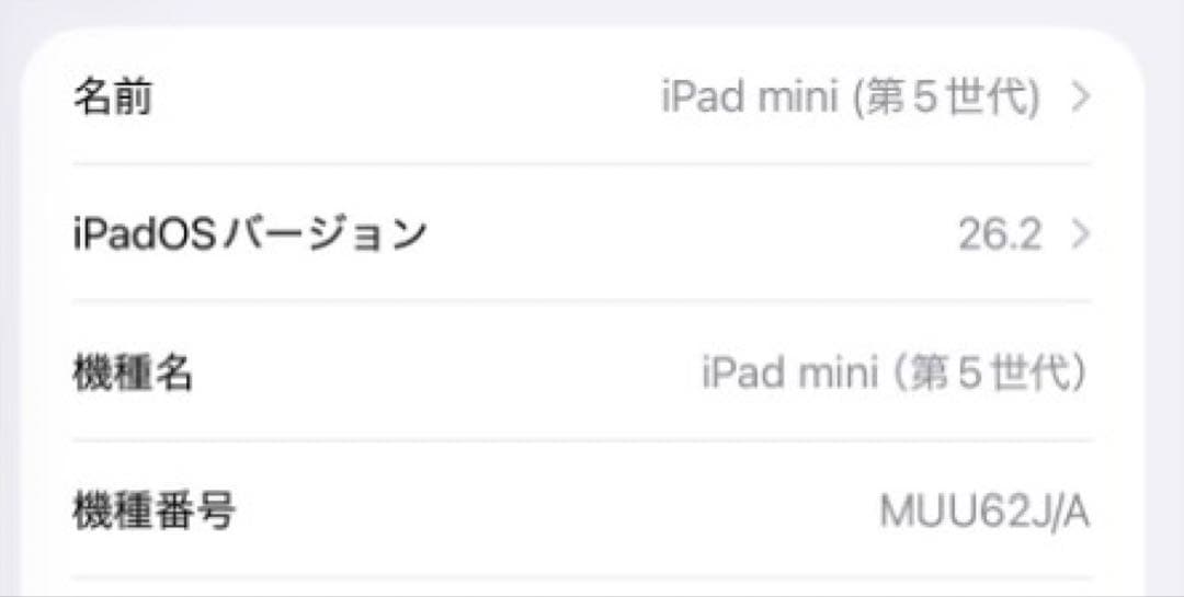 Apple iPad mini (第5世代) Wi-Fi 256GB ゴールド