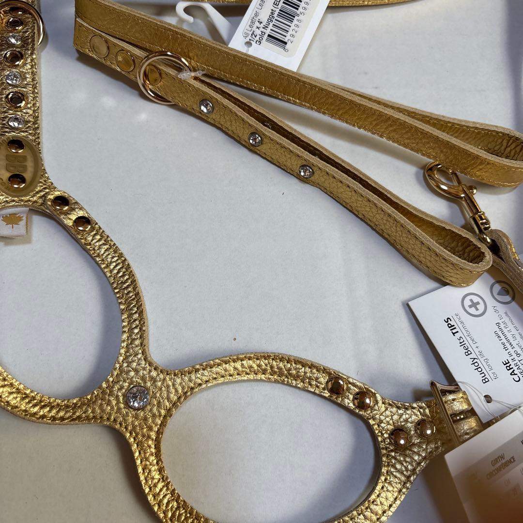 【BUDDY BE LT】Gold Nuggetハーネス.リード セット３号