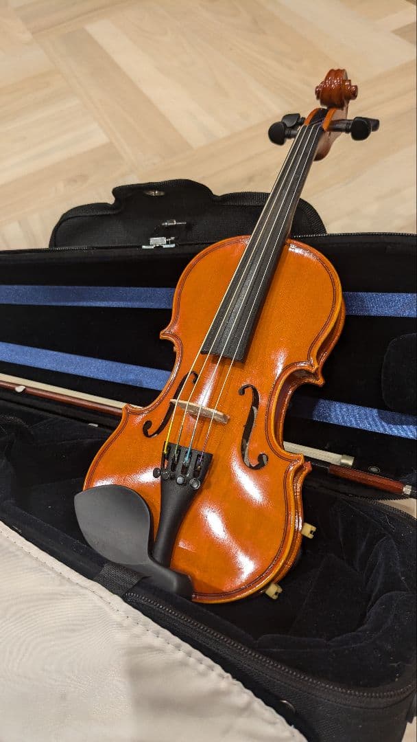 EASTMAN SVL80 分数1/10バイオリンセット イーストマン　欠品なし