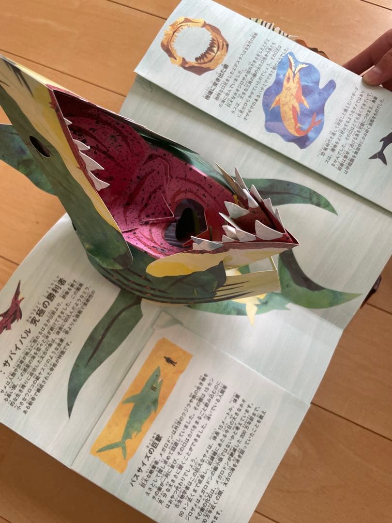 ロバート・サブダ 仕掛け絵本 13冊セット 子どもの感性を伸ばす絵本