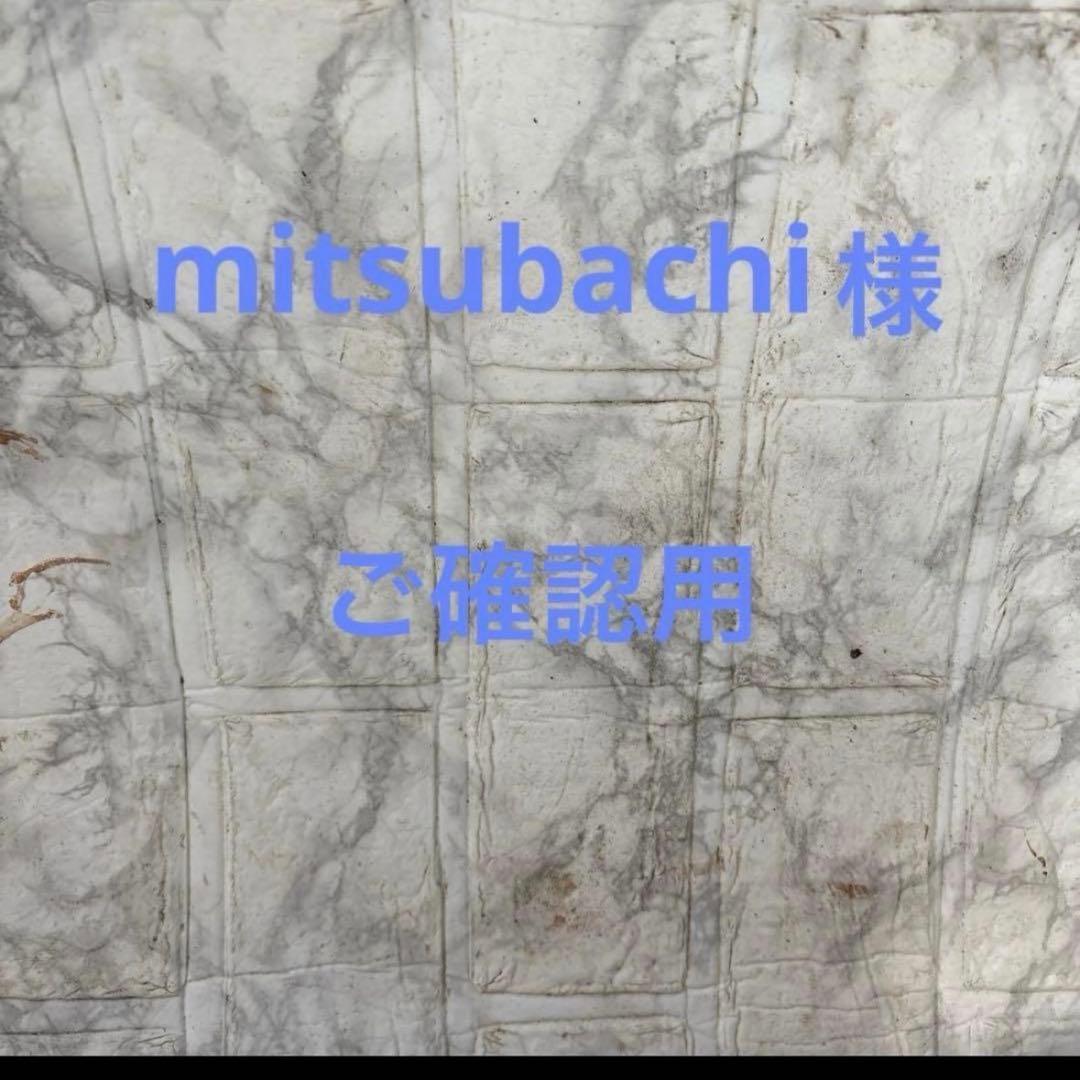 その他多肉植物 mitsubachi