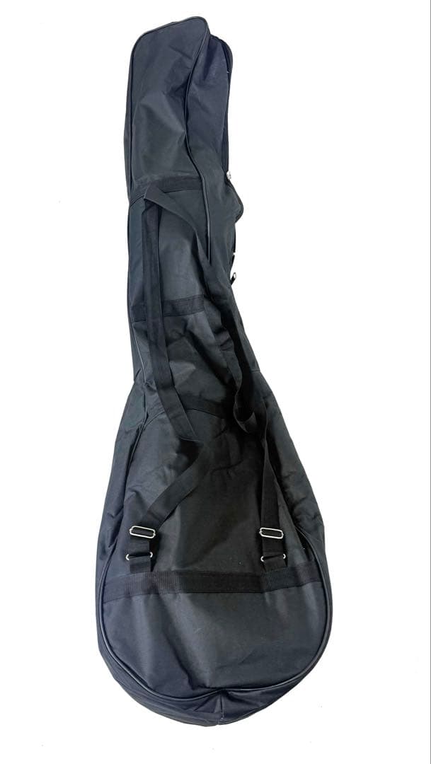 【希少】サロード サロッド SAROD 民族楽器 シタール タンプーラ