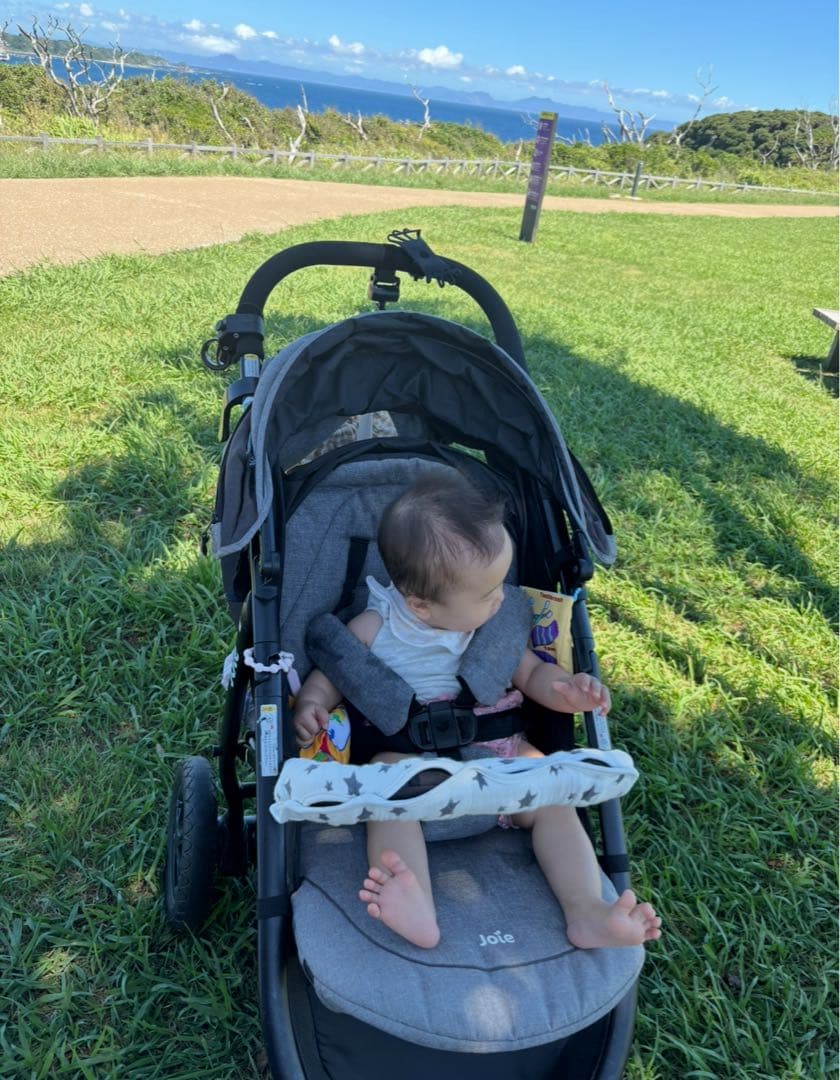 Joie トラベルシステム ベビーカー・チャイルドシート　3点セット