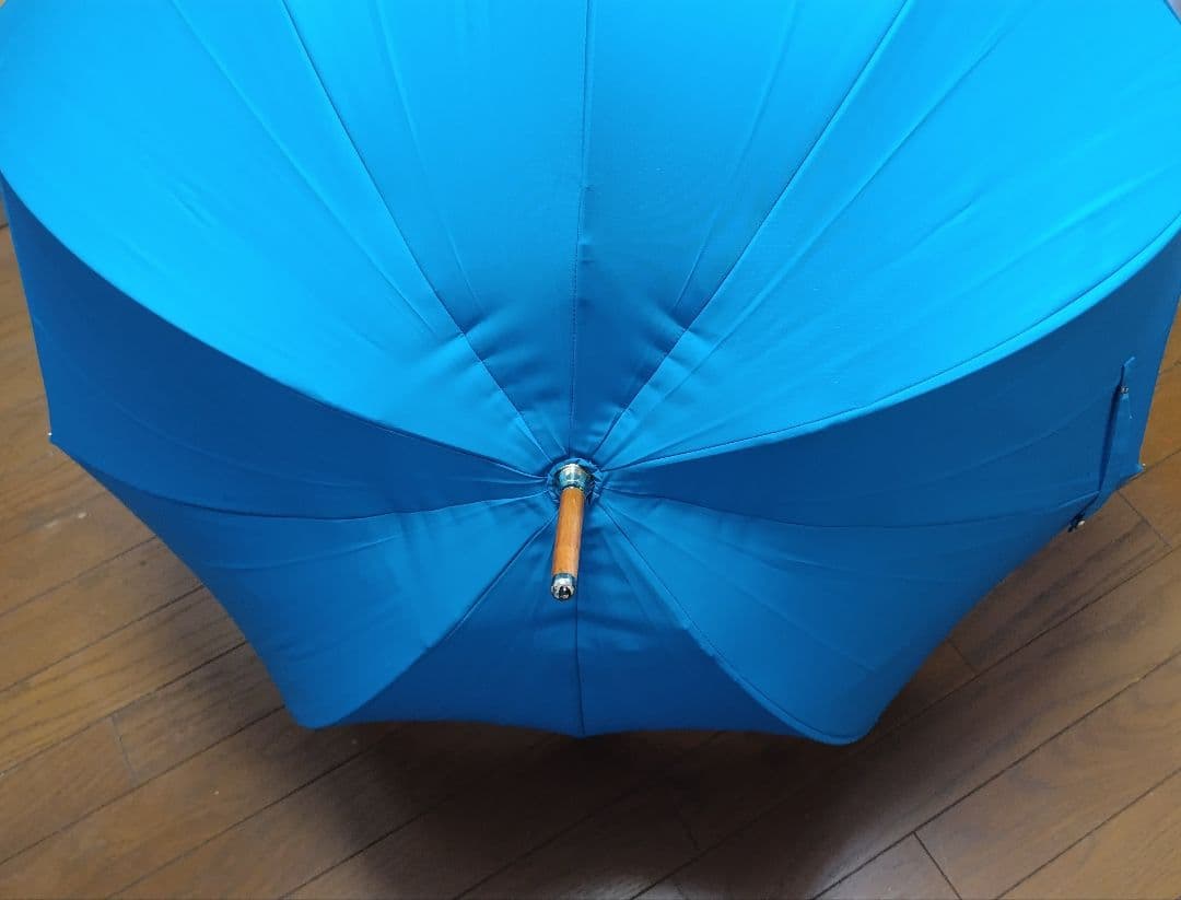 【新品】Di Cesare Designs ディチェザレ デザイン 傘 水色