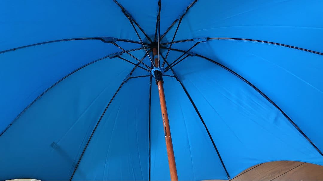 【新品】Di Cesare Designs ディチェザレ デザイン 傘 水色