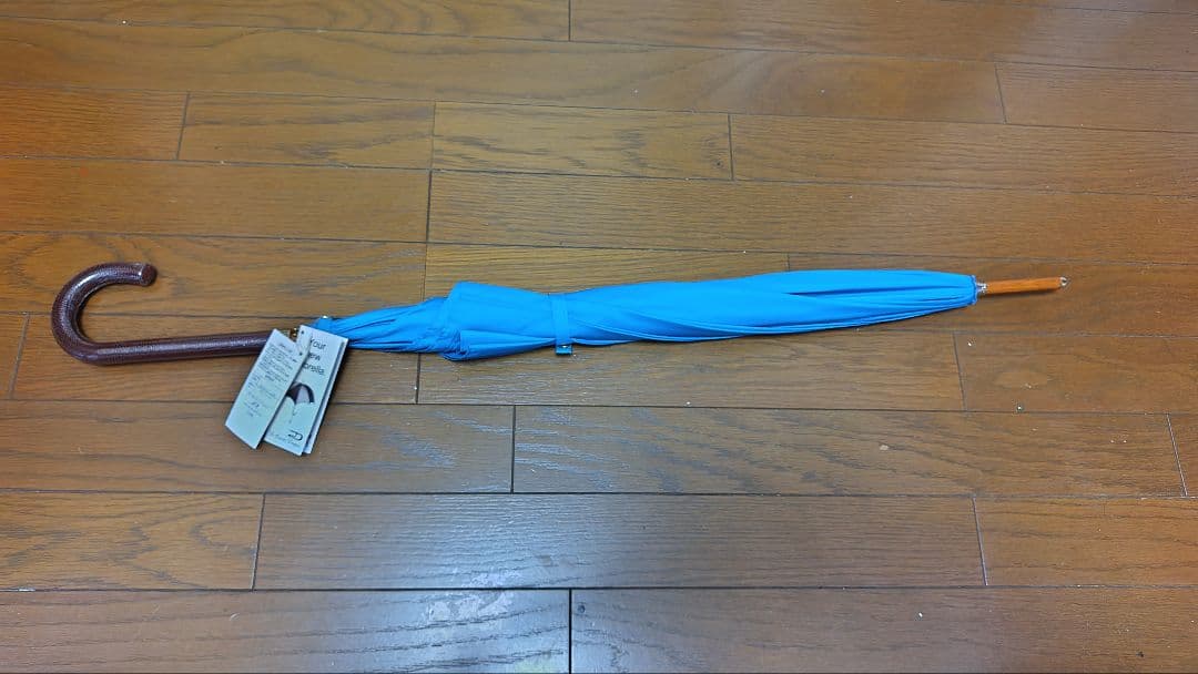 【新品】Di Cesare Designs ディチェザレ デザイン 傘 水色