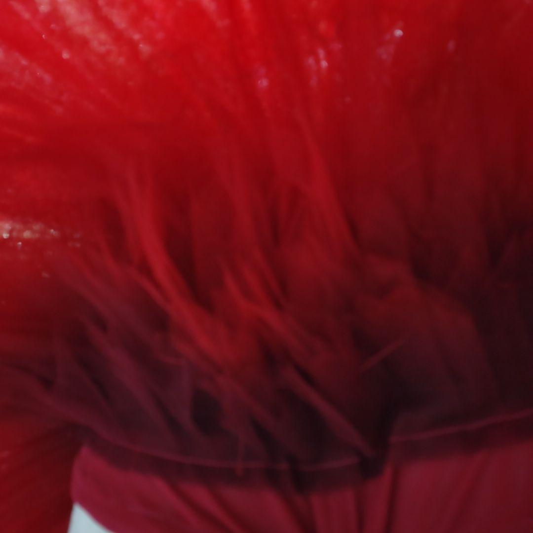 バレエ チュチュ衣装 黒と赤