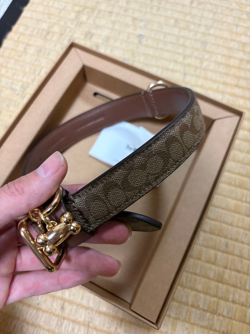 coach リード　犬猫