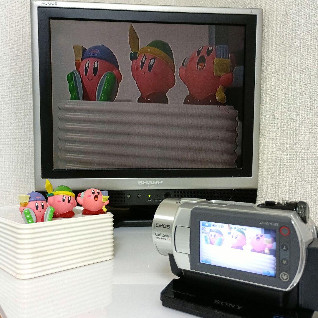 SONY ハンディカム DCR-SR300 デジタルビデオカメラ