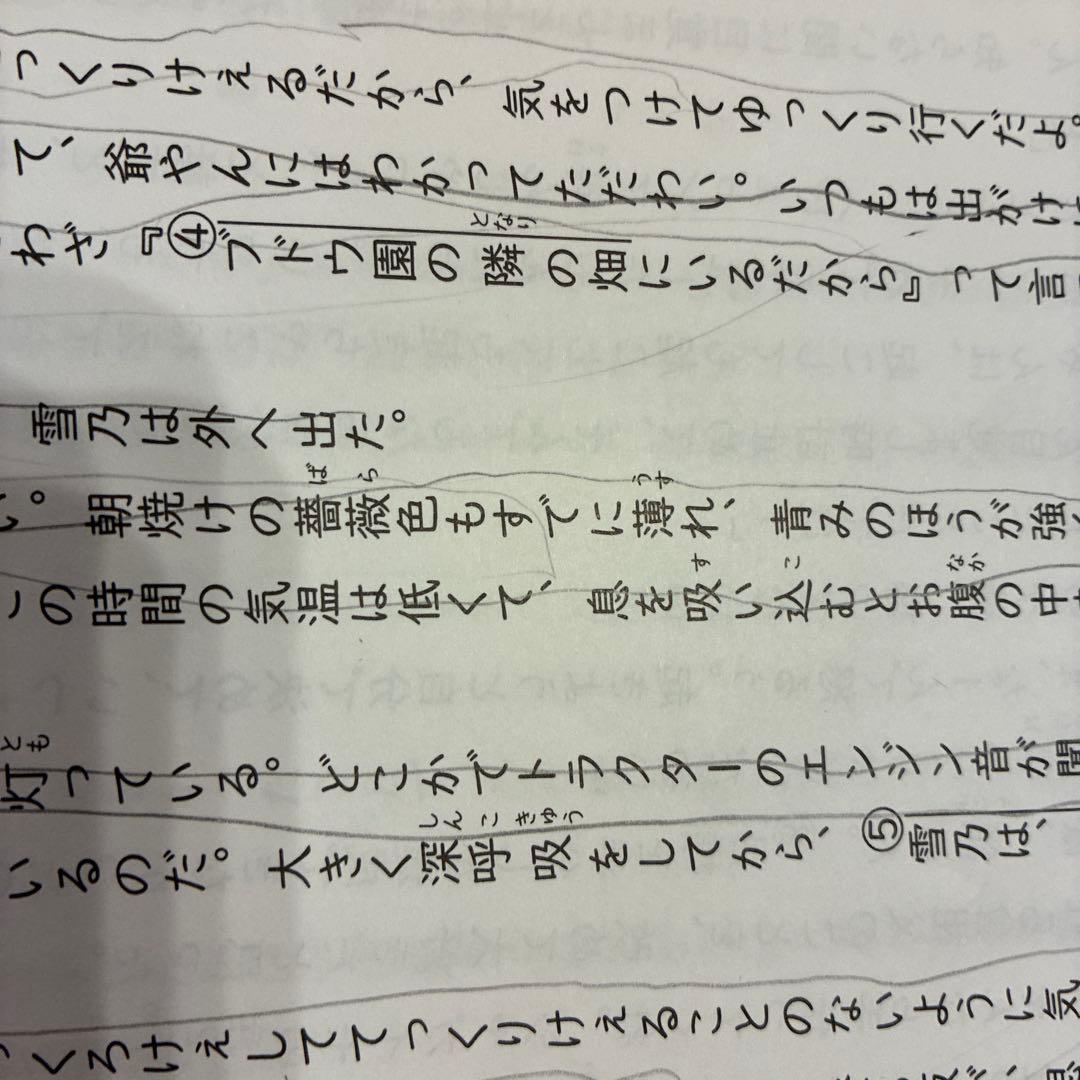 【®️eiko】能開センター　中学校受験　実力判定模試 小学6年