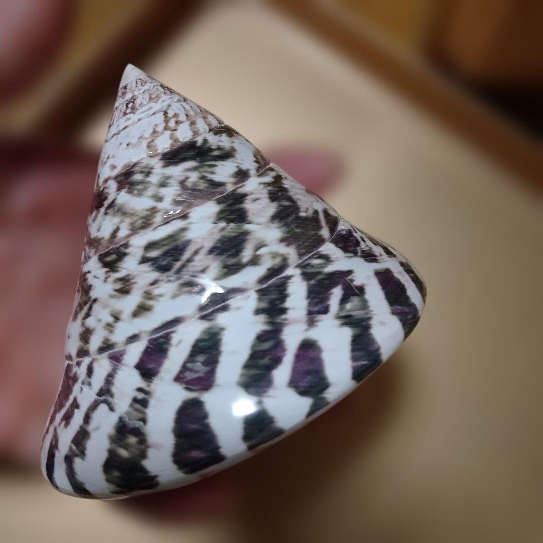 貴重♡♡天然貝殻型装飾品