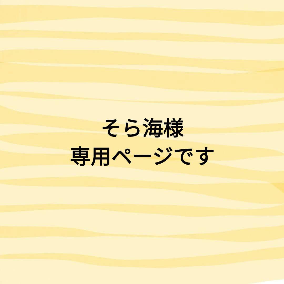 そら海様　あみぐるみのオーダーありがとうございました⸜(*ˊᵕˋ*)⸝‬