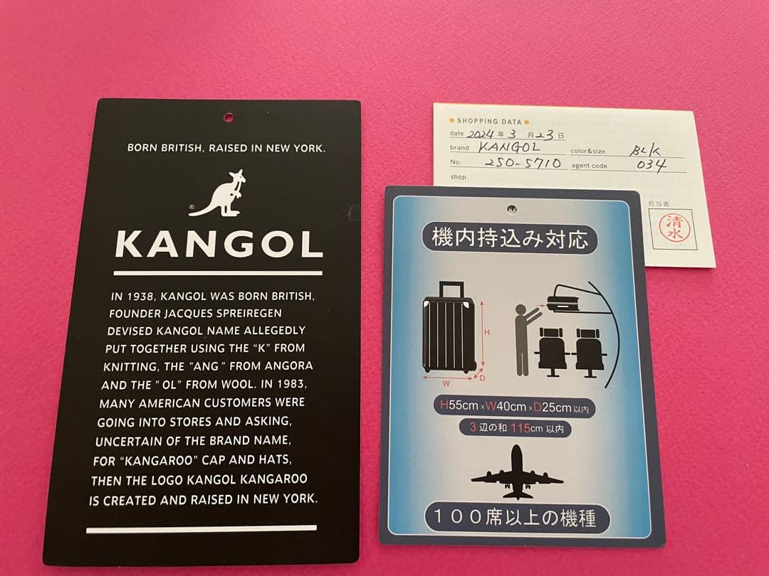 夏！旅行に！　大きくなるKANGOL キャリーケース