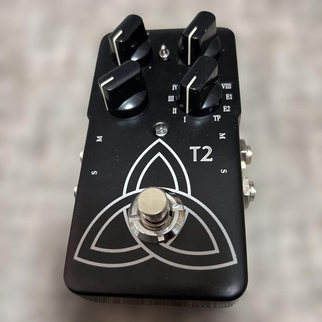 【明日午前中まで】tc electronic T2