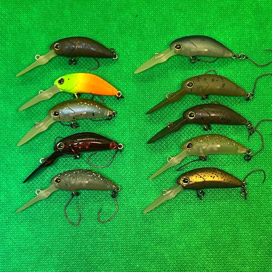 ティモン　プリッキー　10個