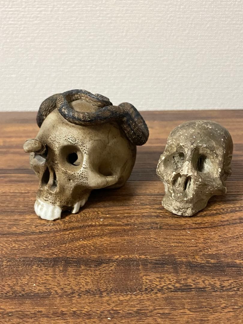 骨董レトロ髑髏野晒しスカル 2個セット 蛇付き 樹脂製