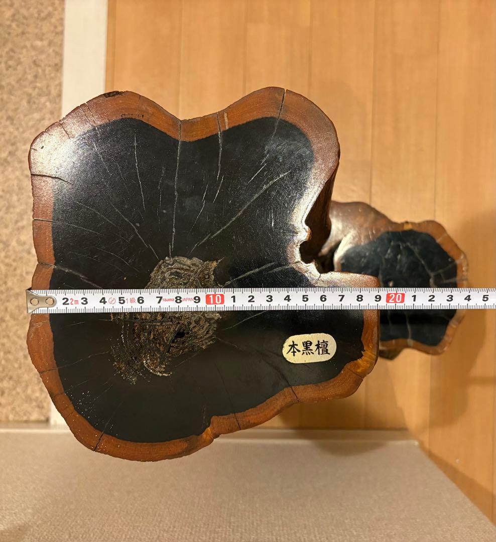 本黒檀 自然木 花台 飾台